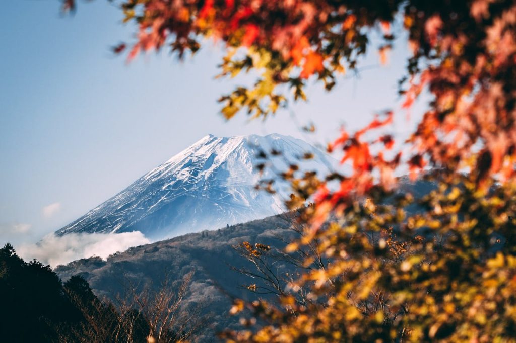 pexels-photo-3917809 A serene view of Mount Fuji framed by vibrant autumn foliage under a clear blue sky.
